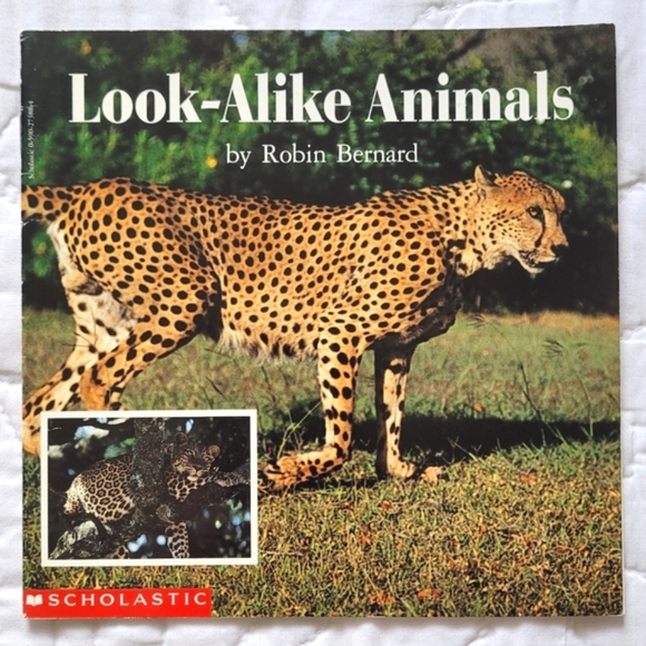 3/$15 🌸 Look-Alike Animals - Picture 1 of 7